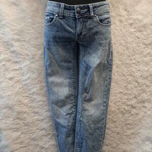 Day Trip Woman's Blue Leo Straight Legs Jeans Size: 28R